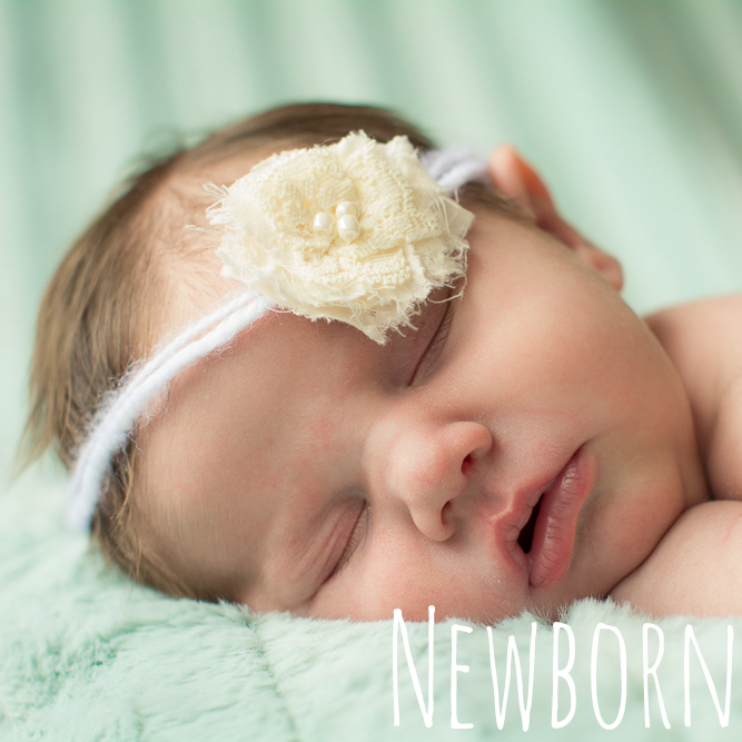 Jamie Lee Mork Photography: Northern Michigan Newborn Photographer